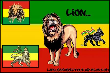 lion