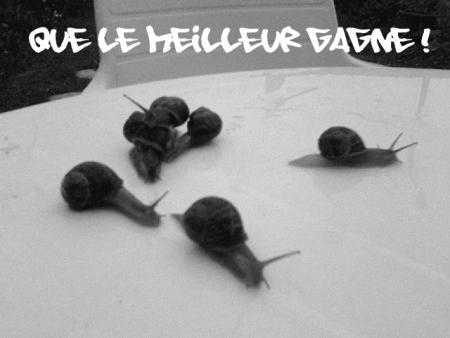 courses d'�scargot